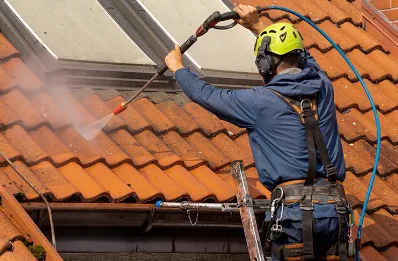 Démoussage et hydrofuge de toiture à Griselles